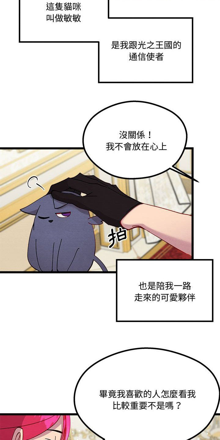 第14章：光之国公主12
