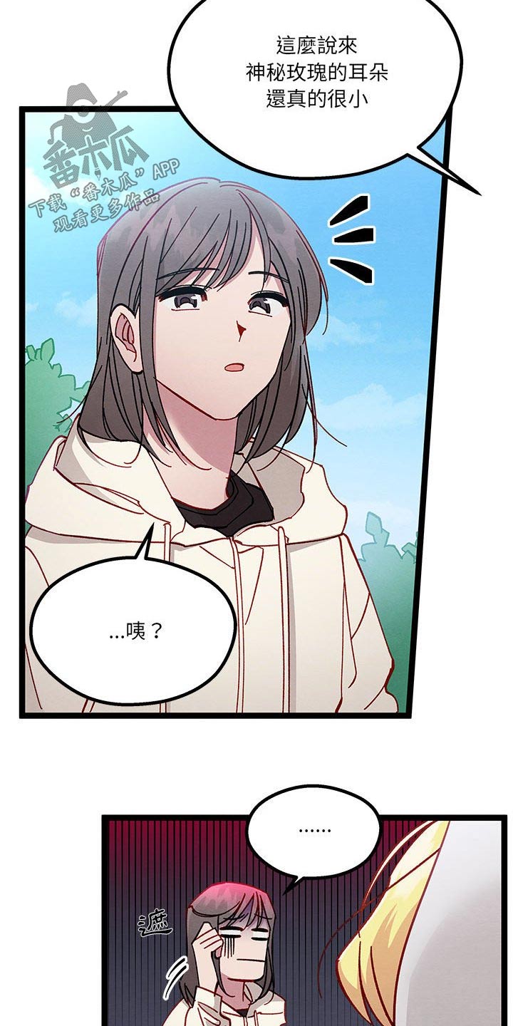 第28章：了解8