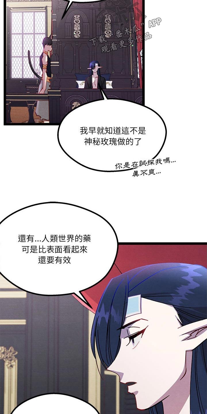 第32章：决定了3