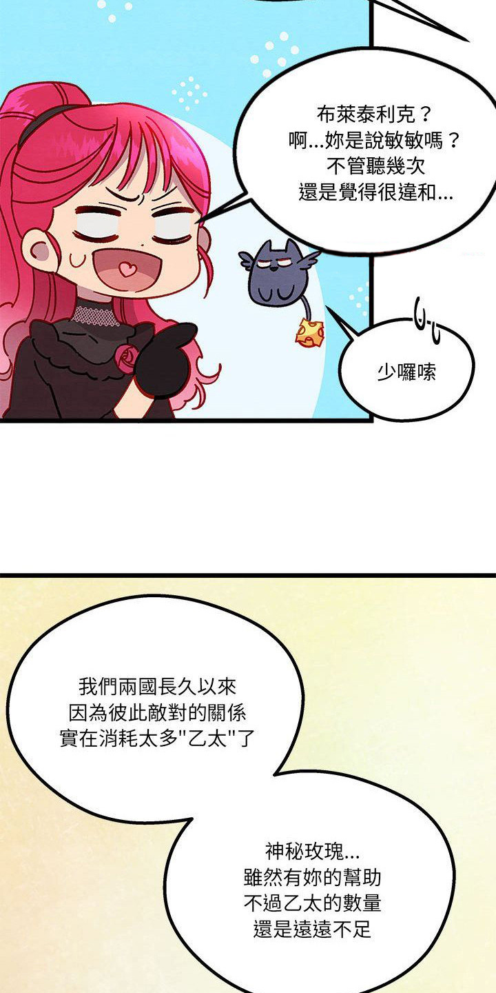 第14章：光之国公主17
