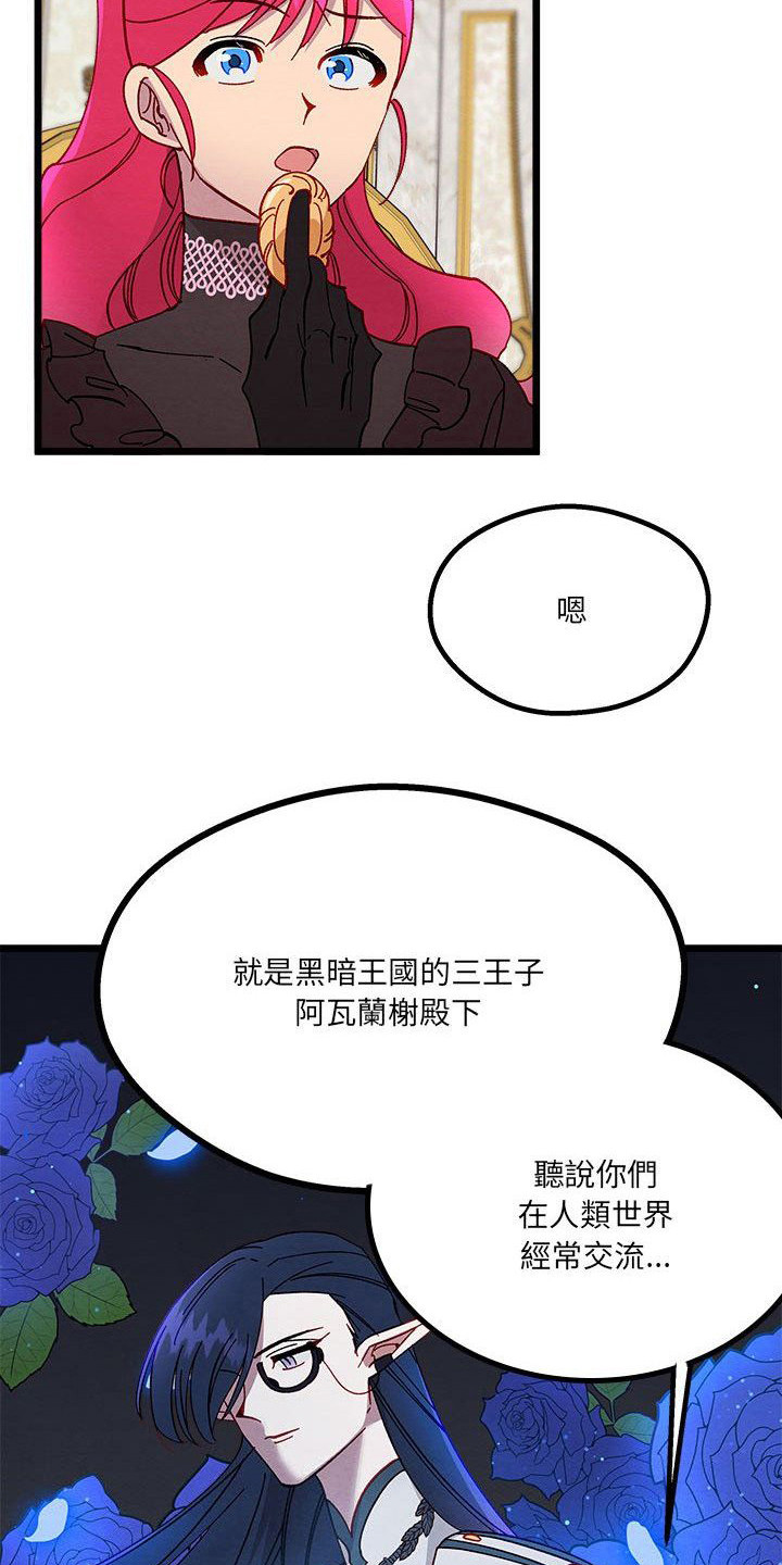 第14章：光之国公主22