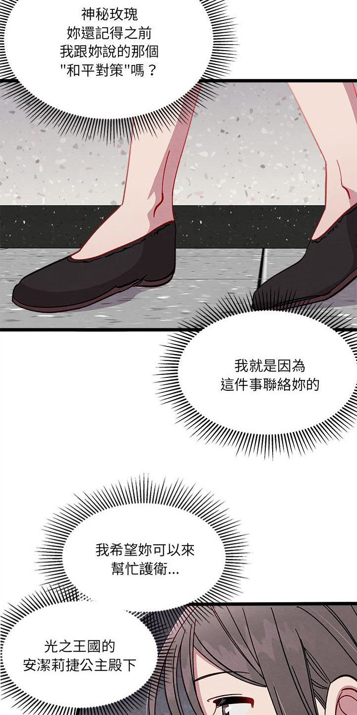 第13章：对策18