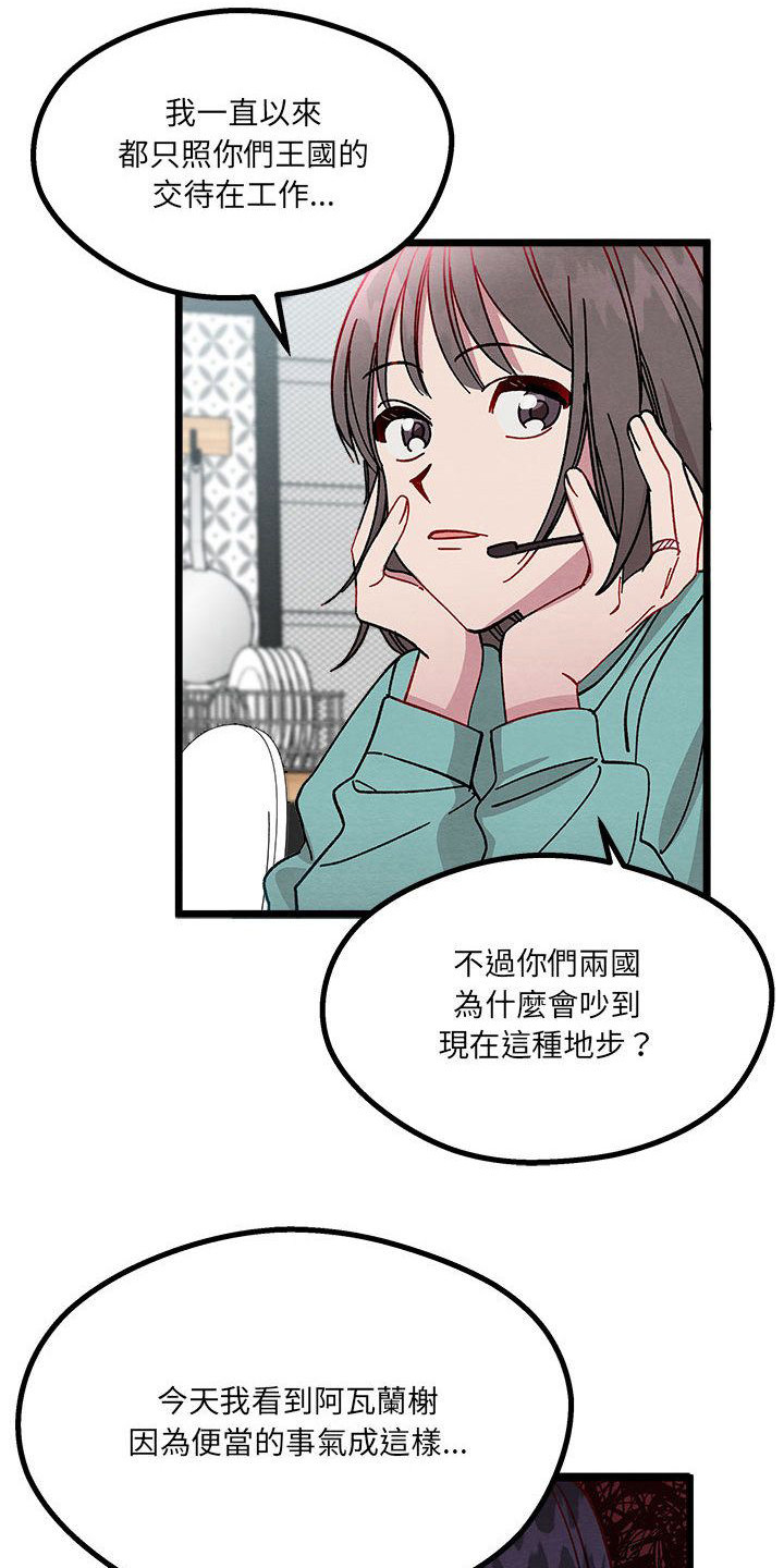 第11章：重婚危机8