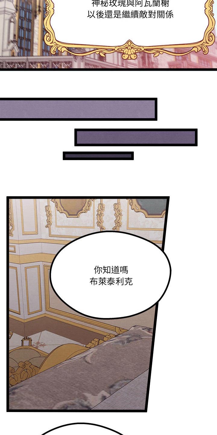 第22章：神秘玫瑰19
