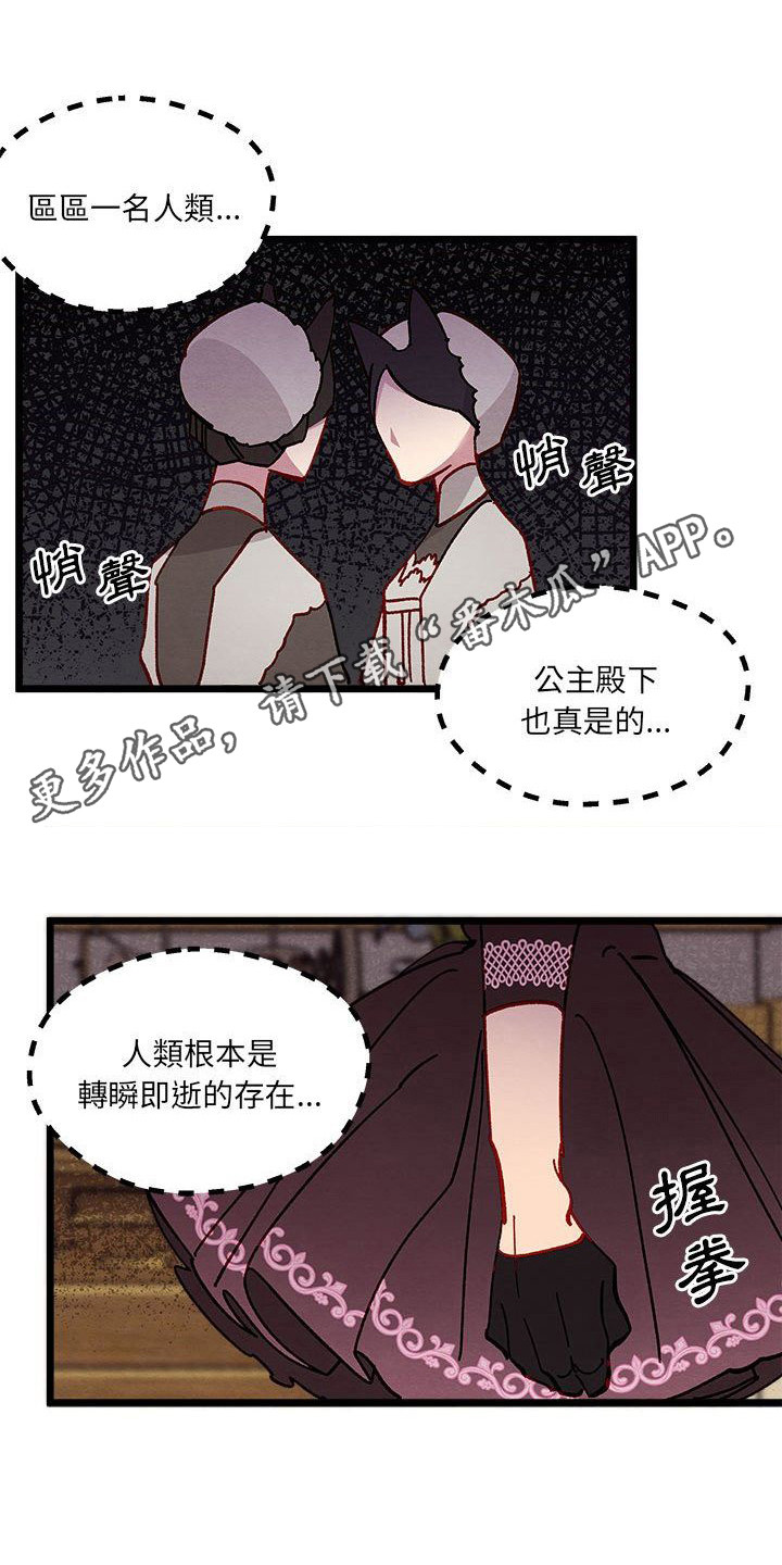 第14章：光之国公主10