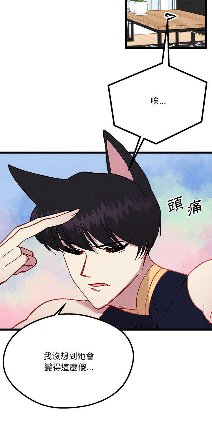 第7章：爱心便当20