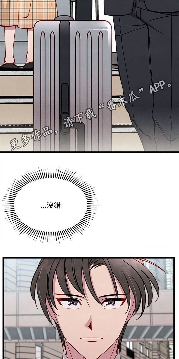 第13章：对策11