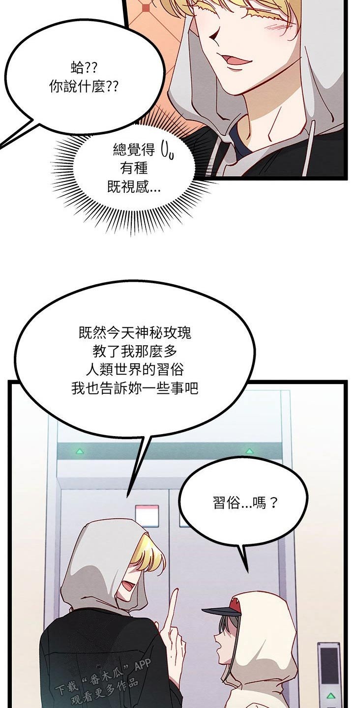 第26章：称呼19
