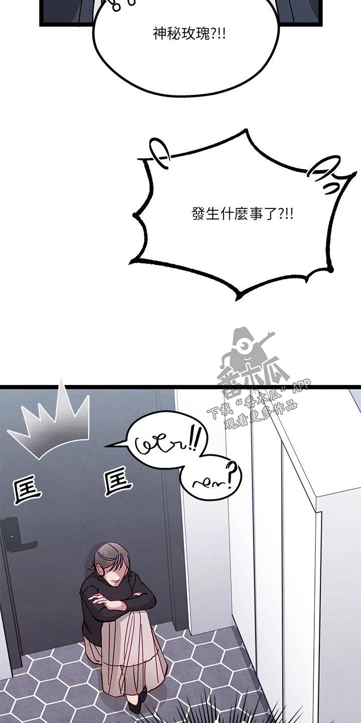 第33章：理解我7