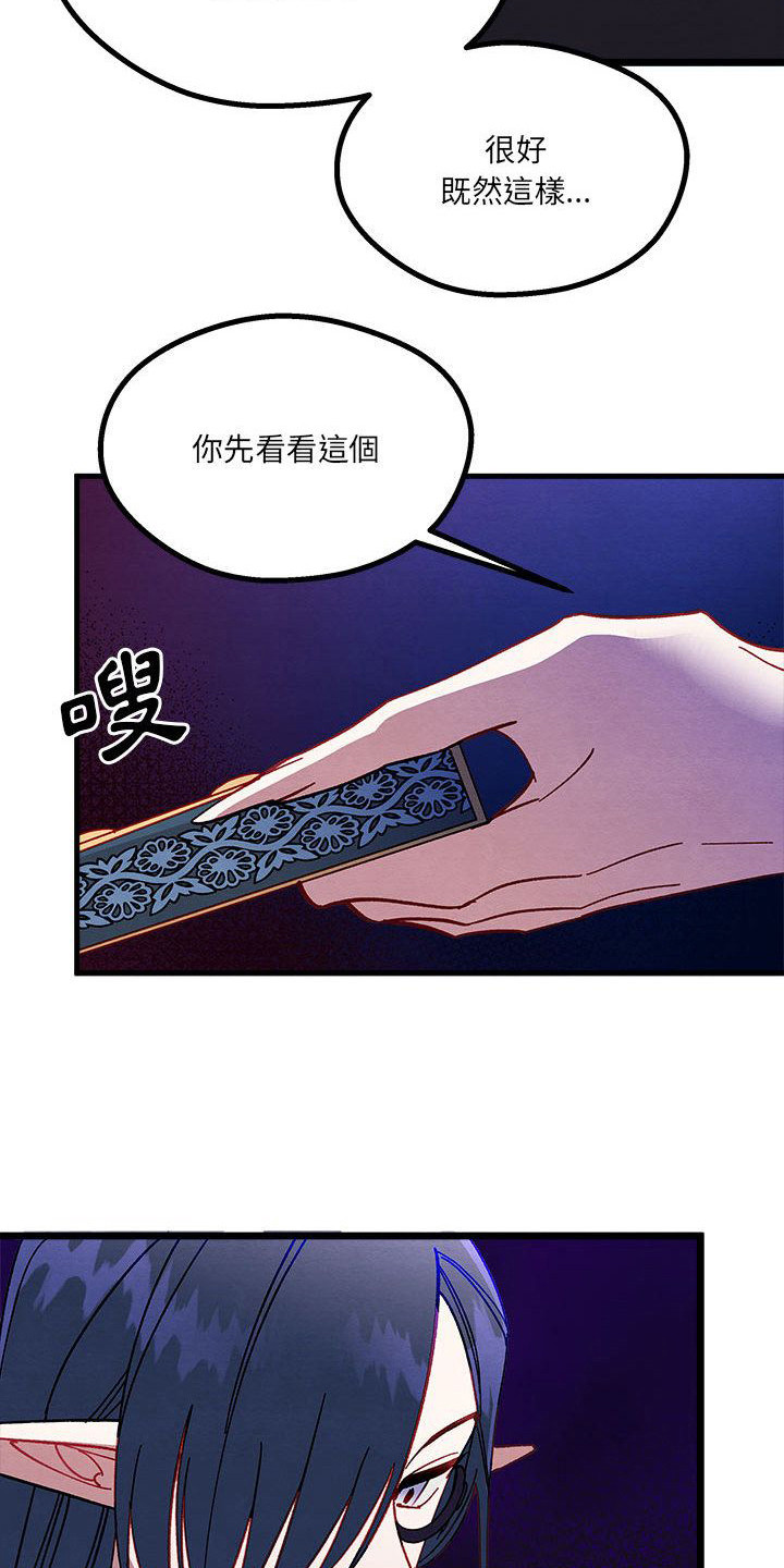 第11章：重婚危机14