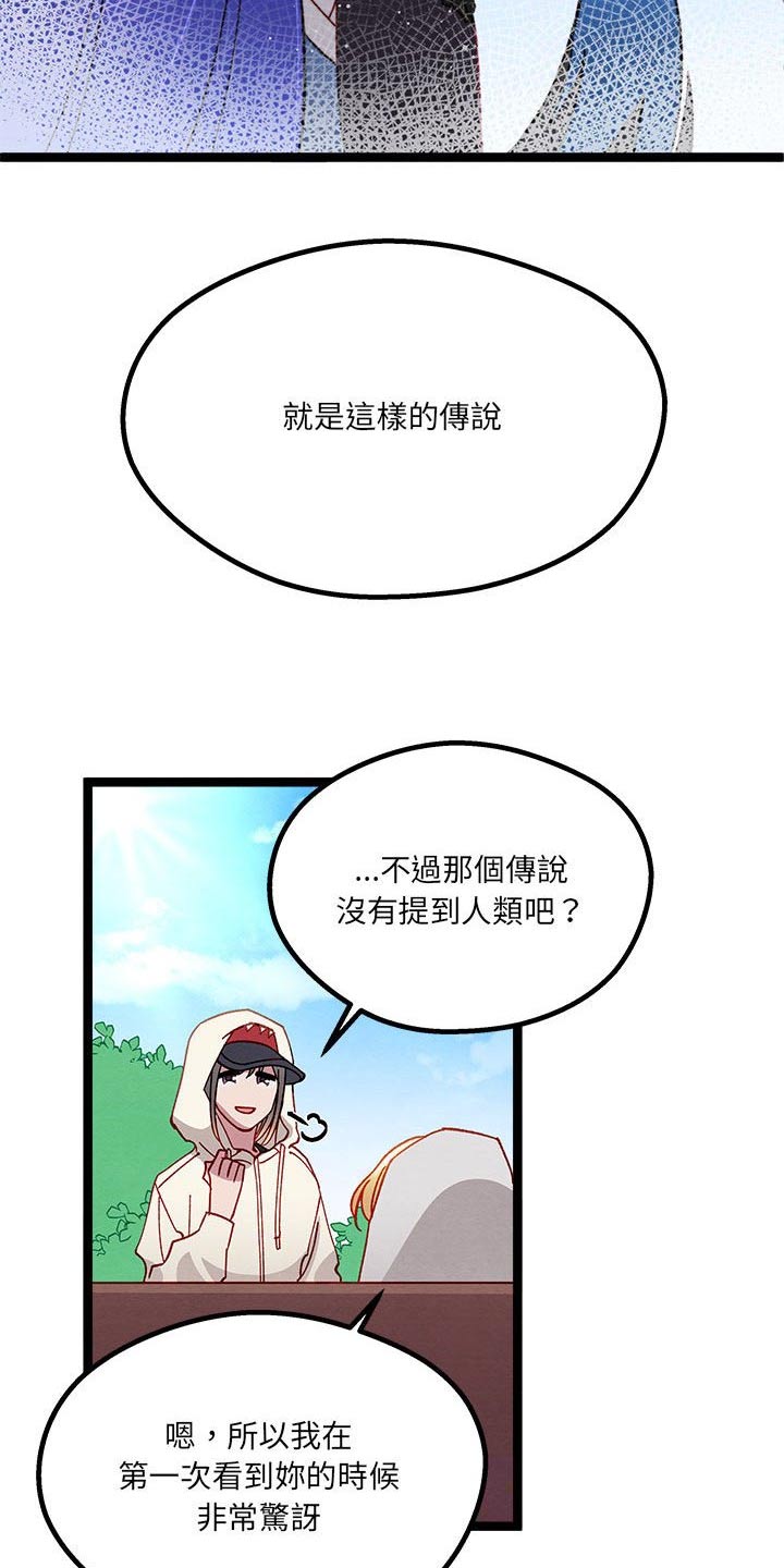 第28章：了解11
