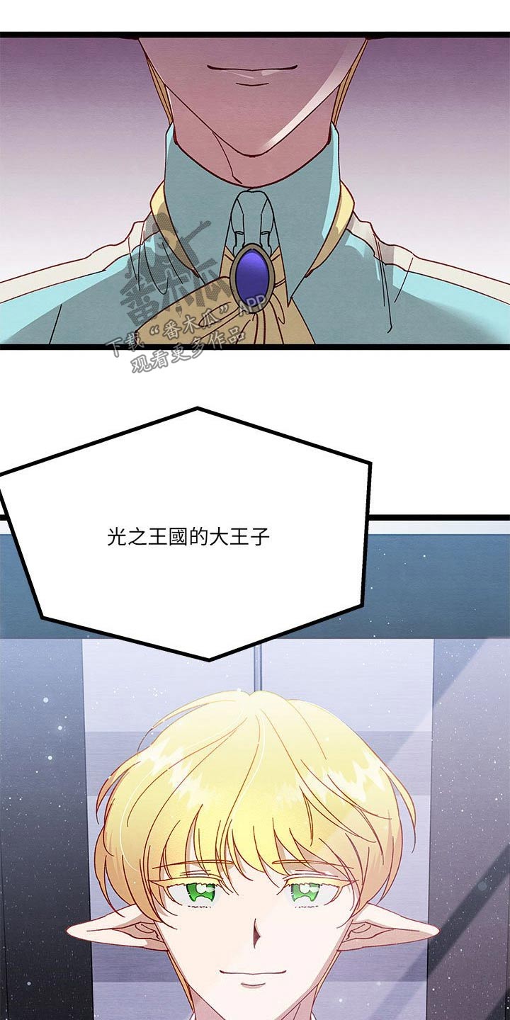 第24章：大王子23