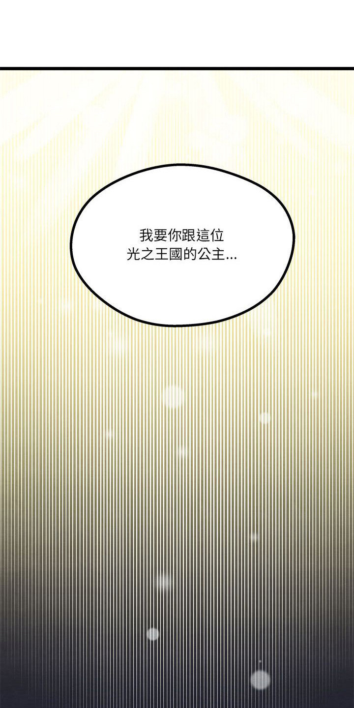 第11章：重婚危机17