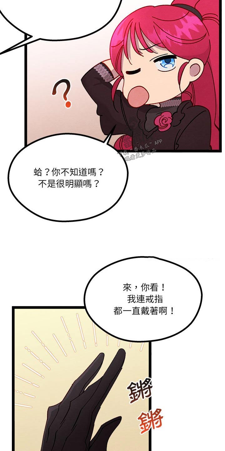 第22章：神秘玫瑰9
