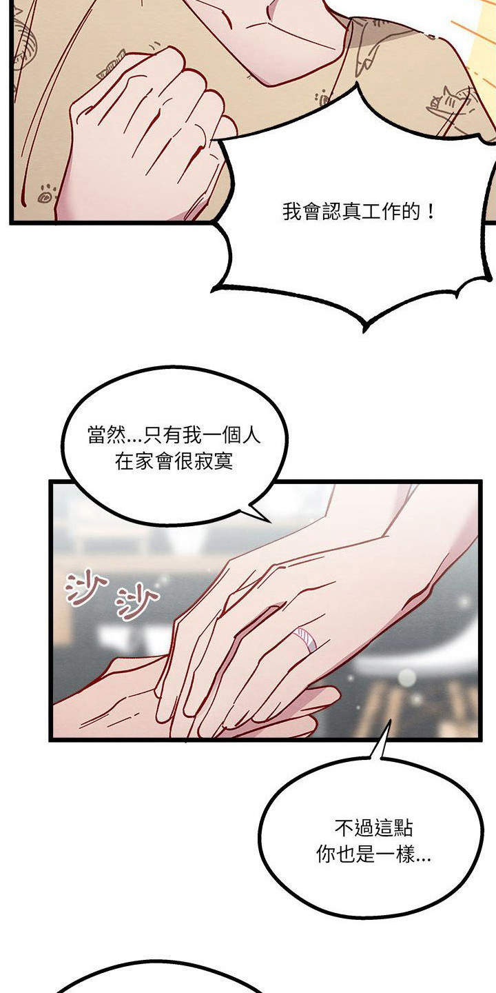 第13章：对策5
