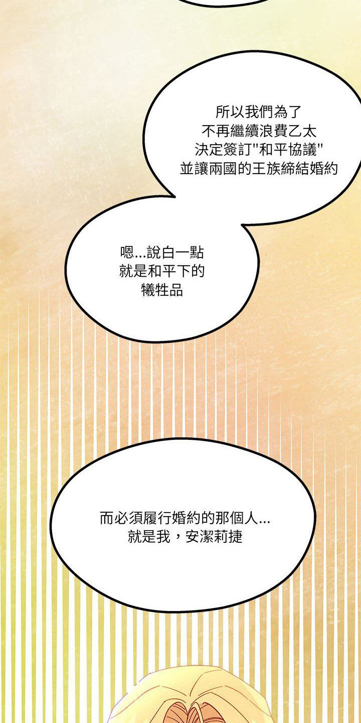 第14章：光之国公主18