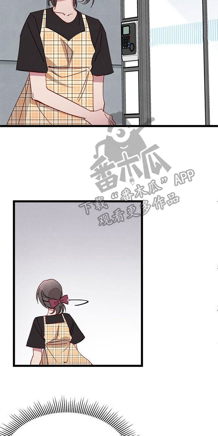 第13章：对策17