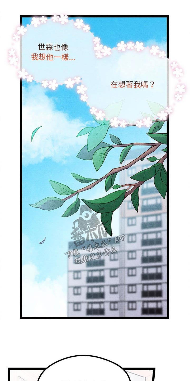 第23章：开心8
