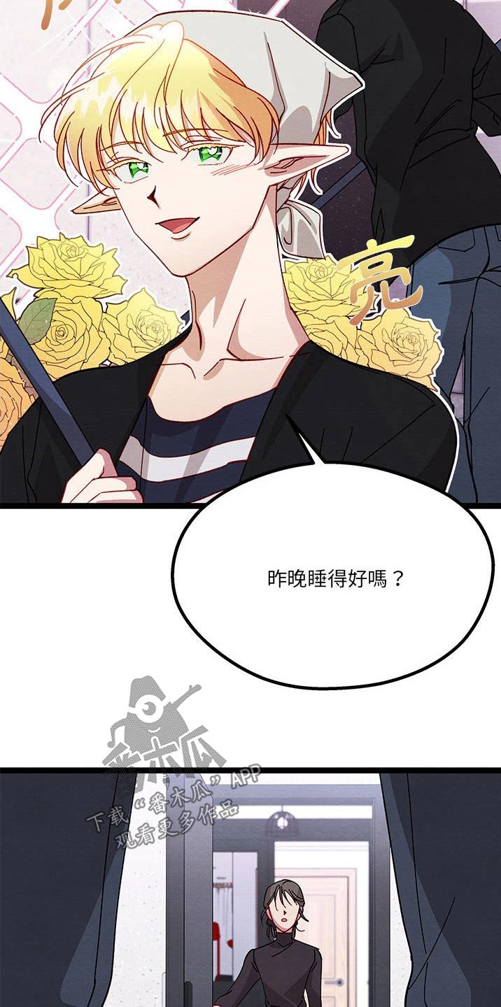 第32章：决定了19