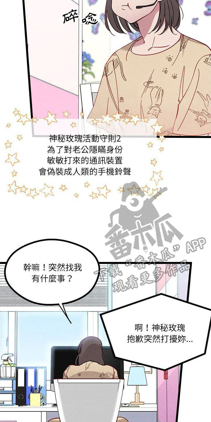第13章：对策1
