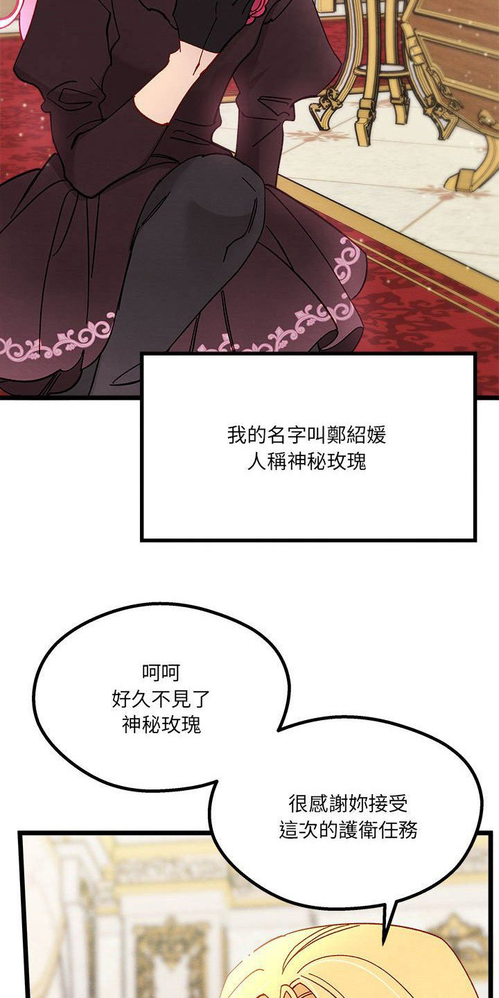 第14章：光之国公主6