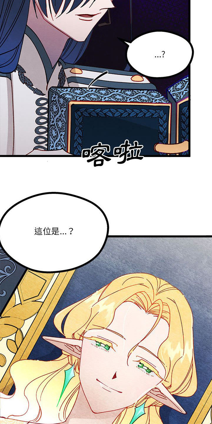第11章：重婚危机15