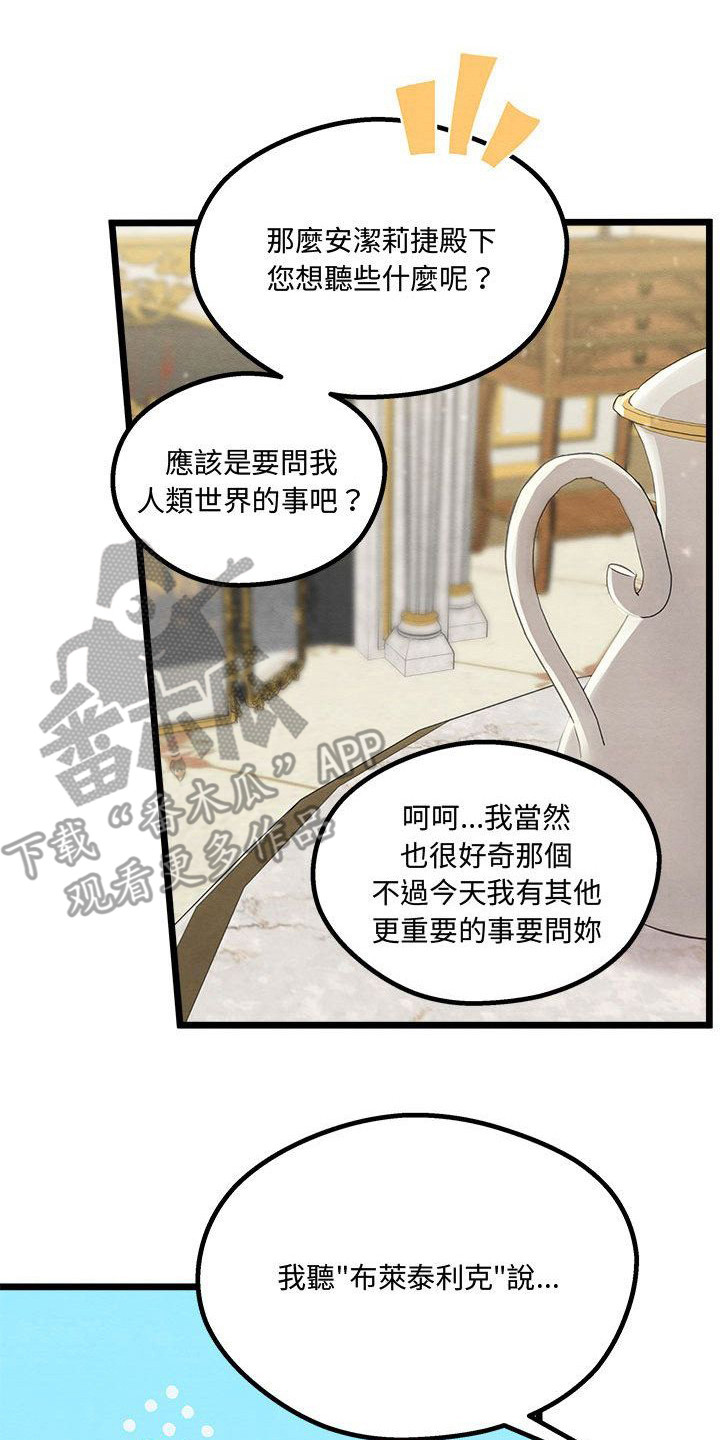 第14章：光之国公主16