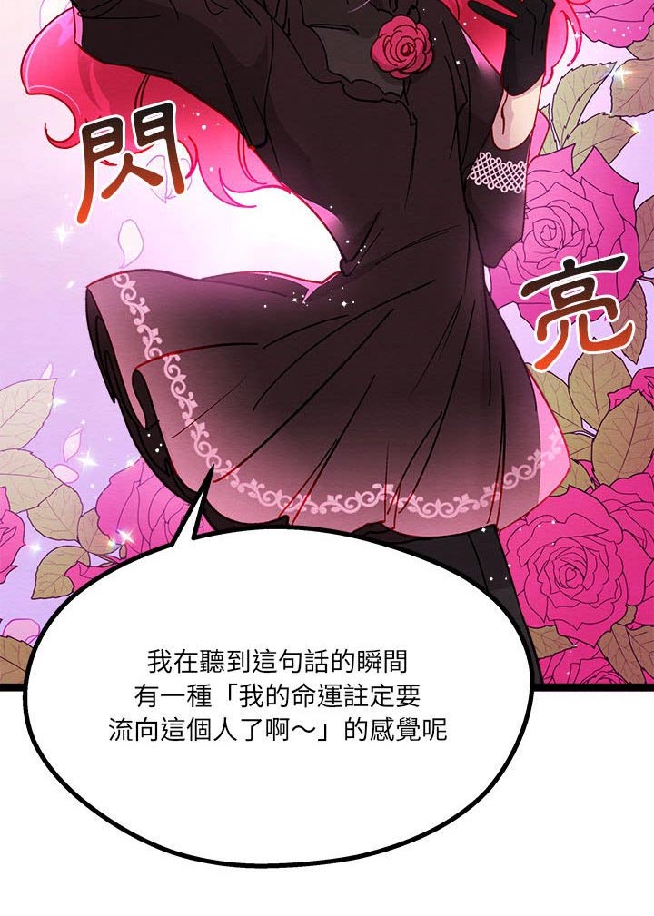 第22章：神秘玫瑰7