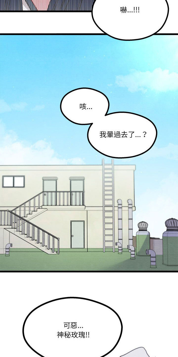 第10章： 晕过去14