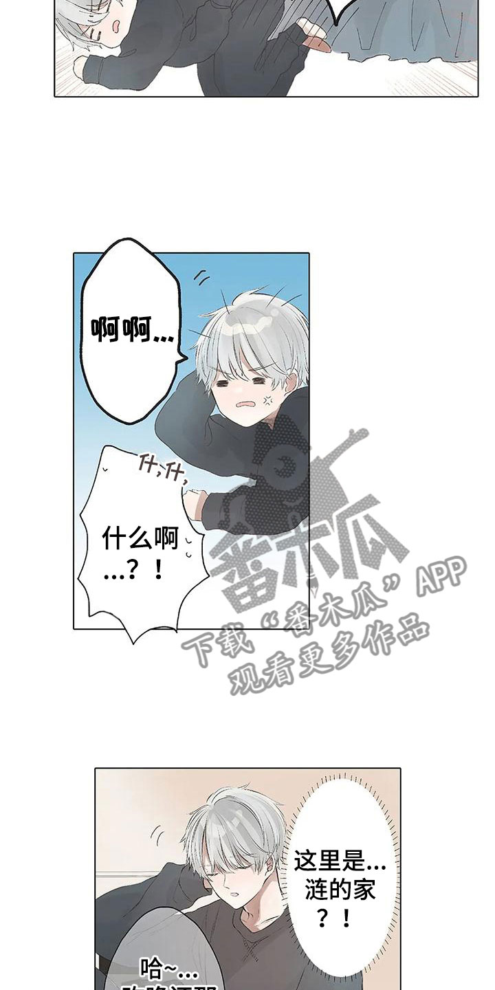第10章：醒了？12