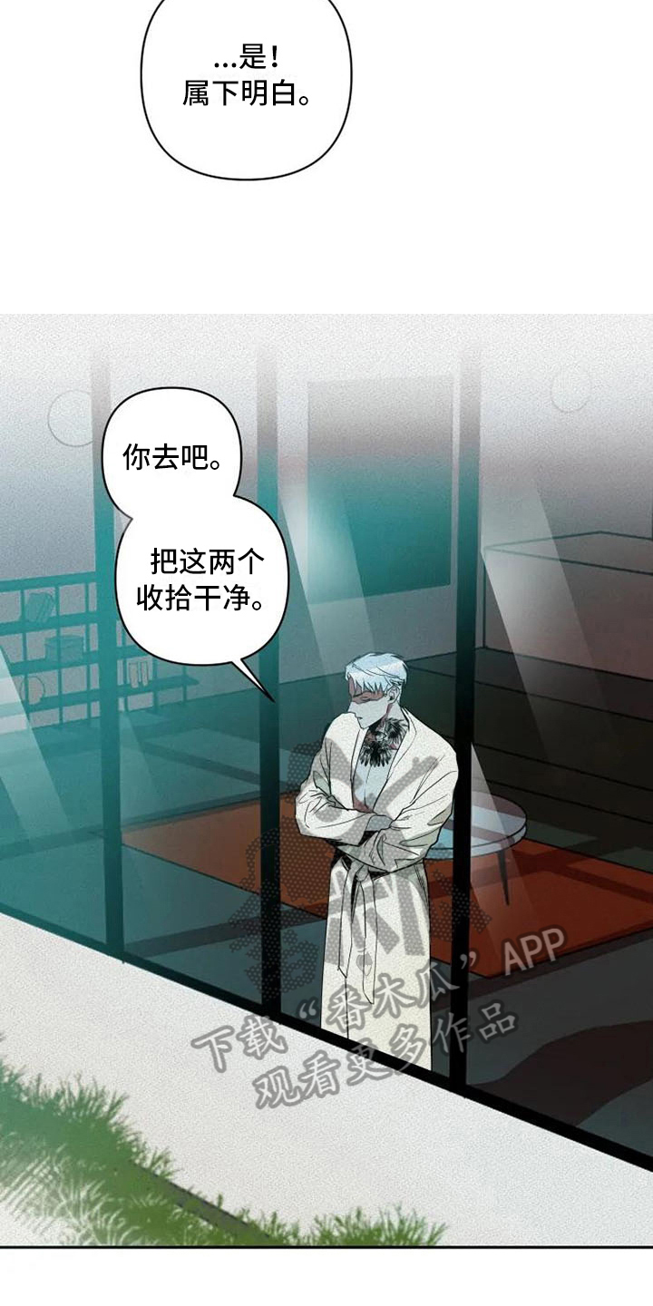 第18章：有意思11