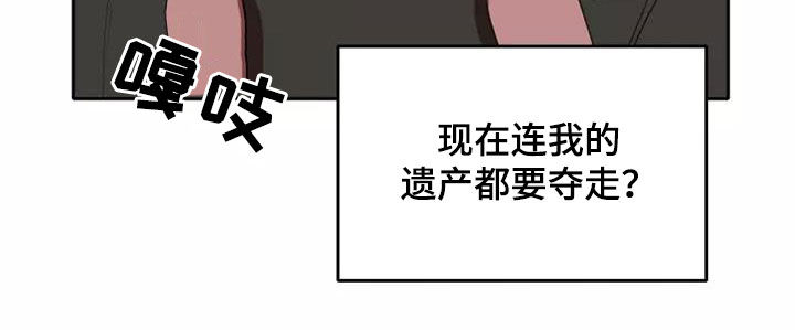 第42章：分成两份22