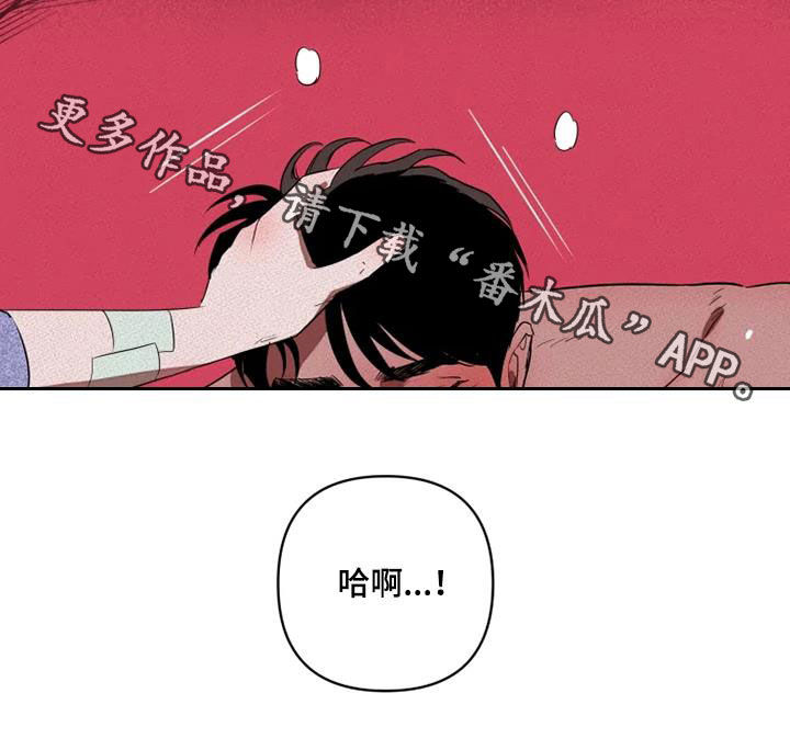 第31章：我想了解你25