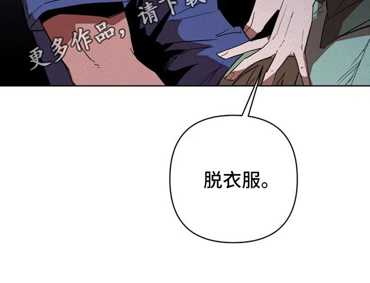 第5章：提议19