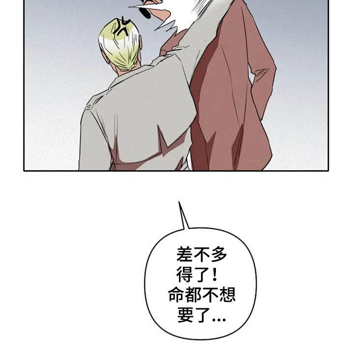 第20章：绑架19