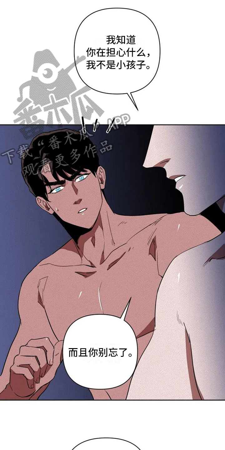 第17章：汇报3