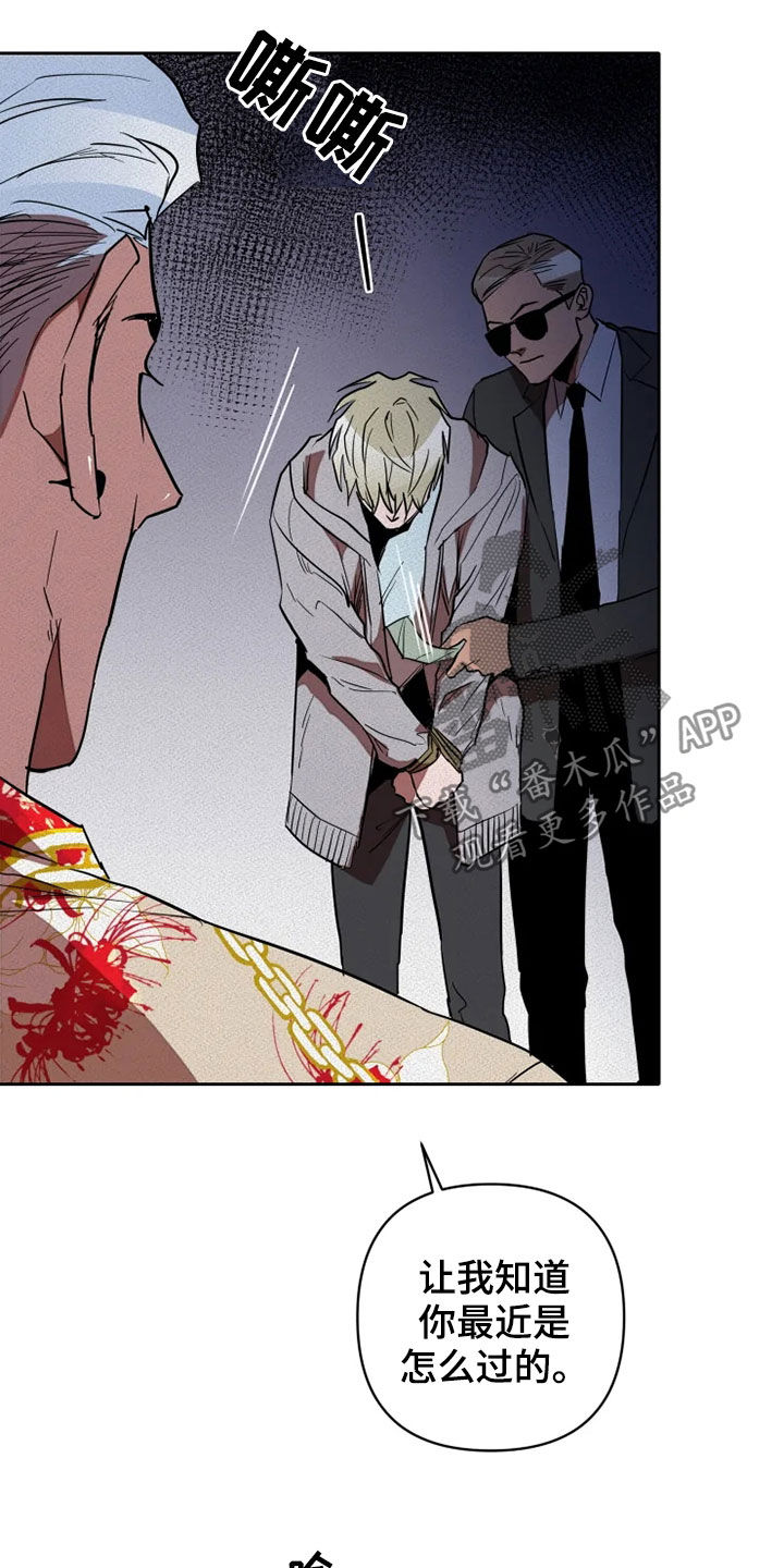 第21章：愚蠢11