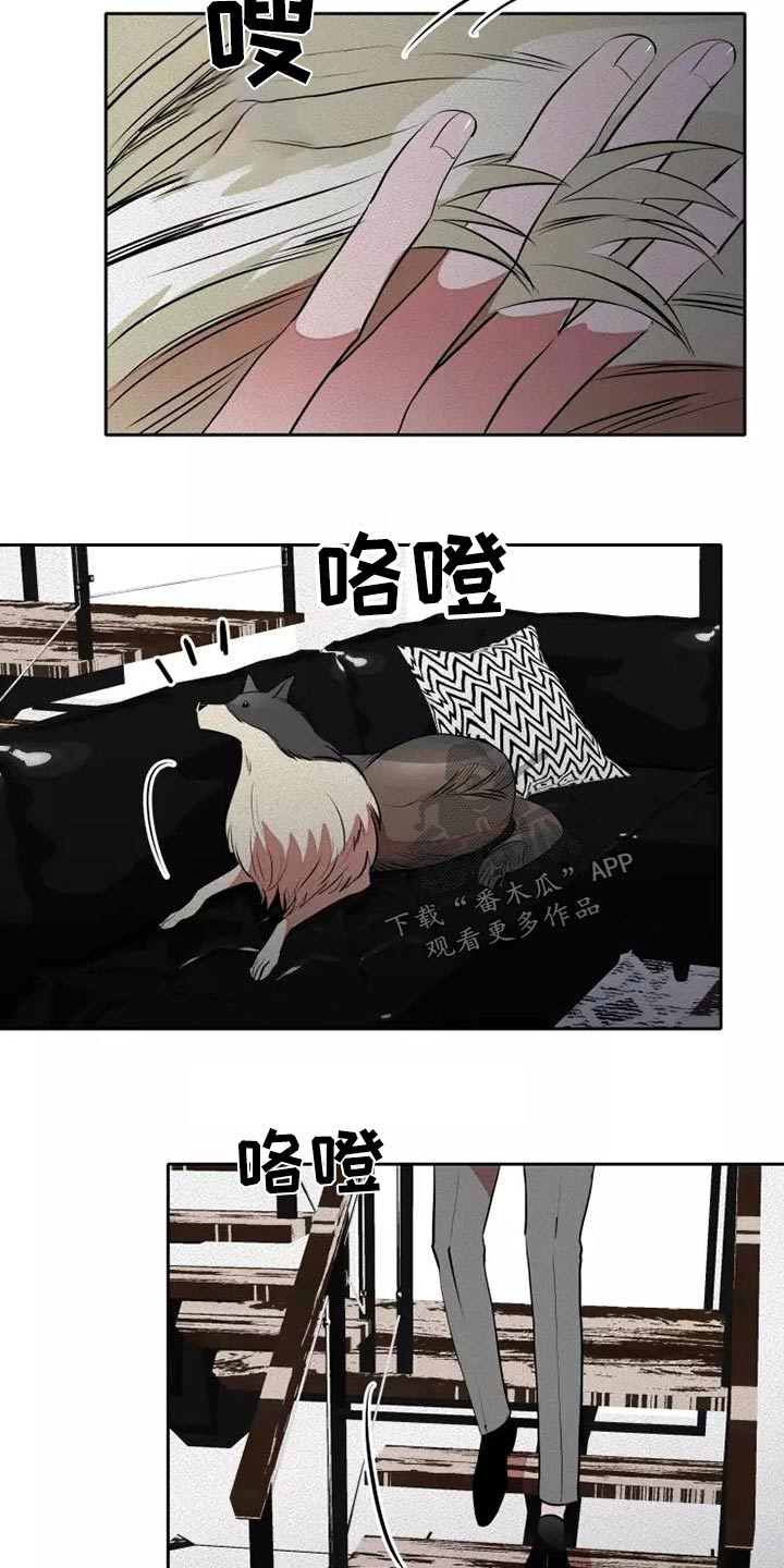 第53章：罪过22