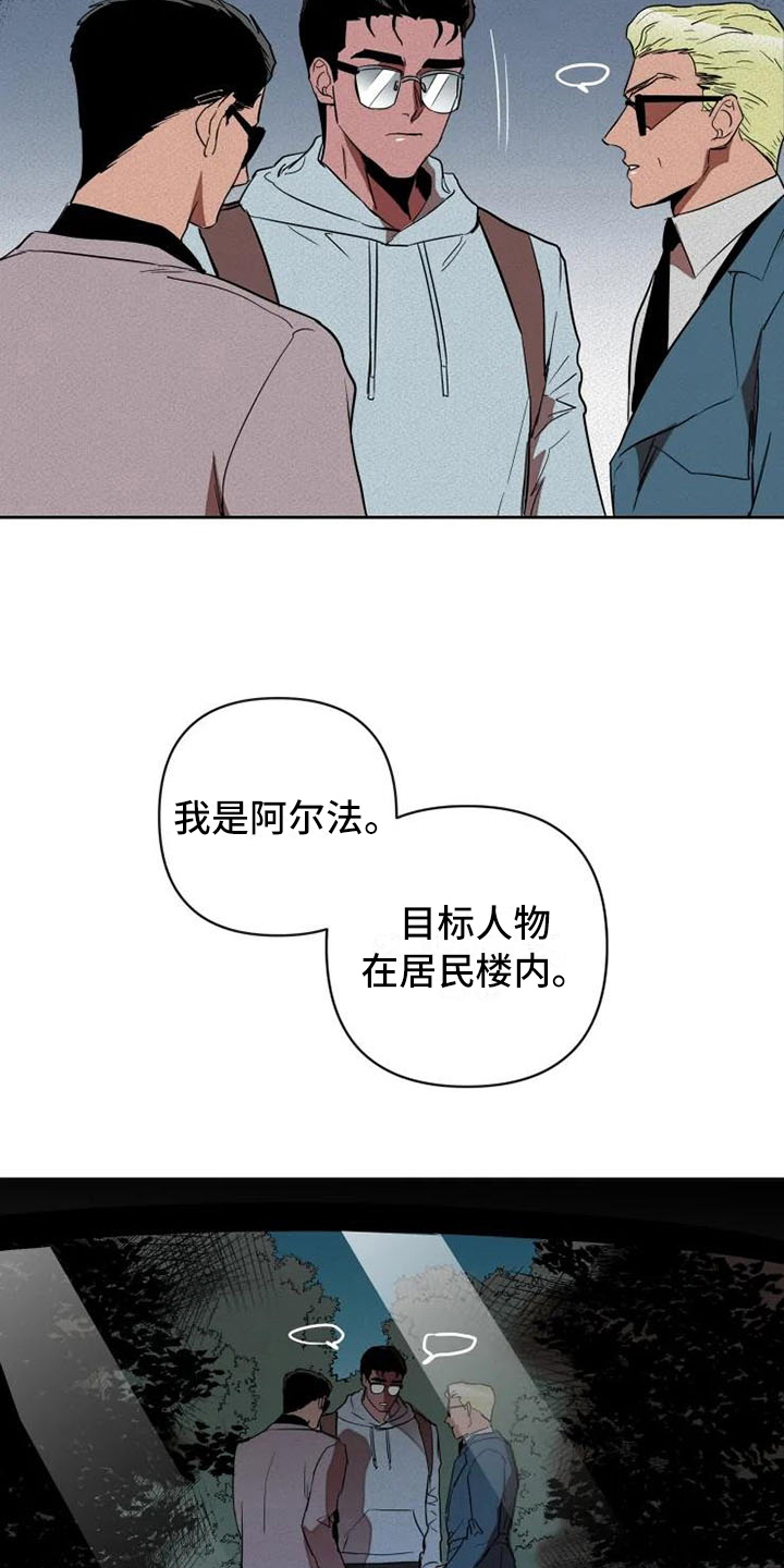 第17章：汇报13