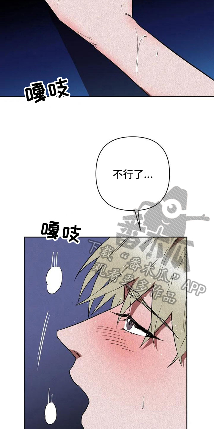 第16章：信息12