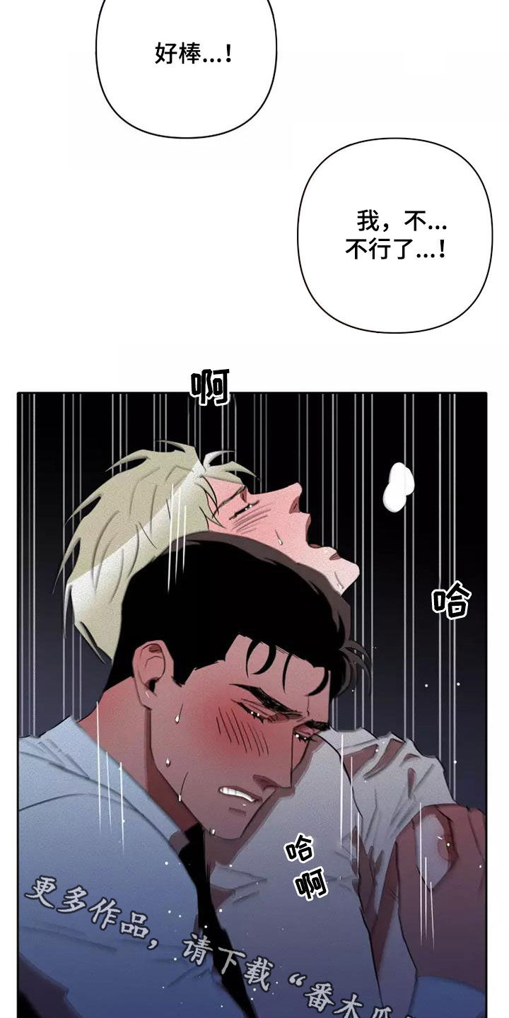 第40章：为所欲为19