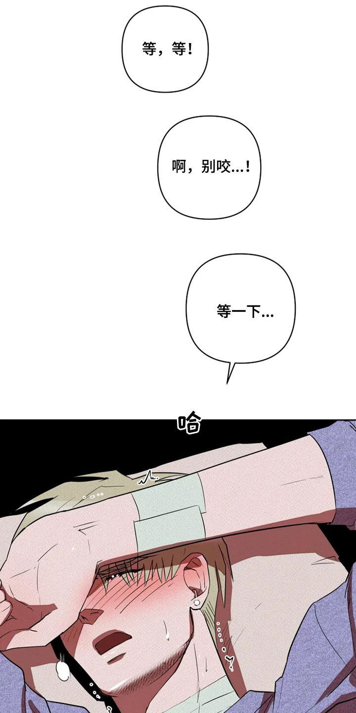 第31章：我想了解你13