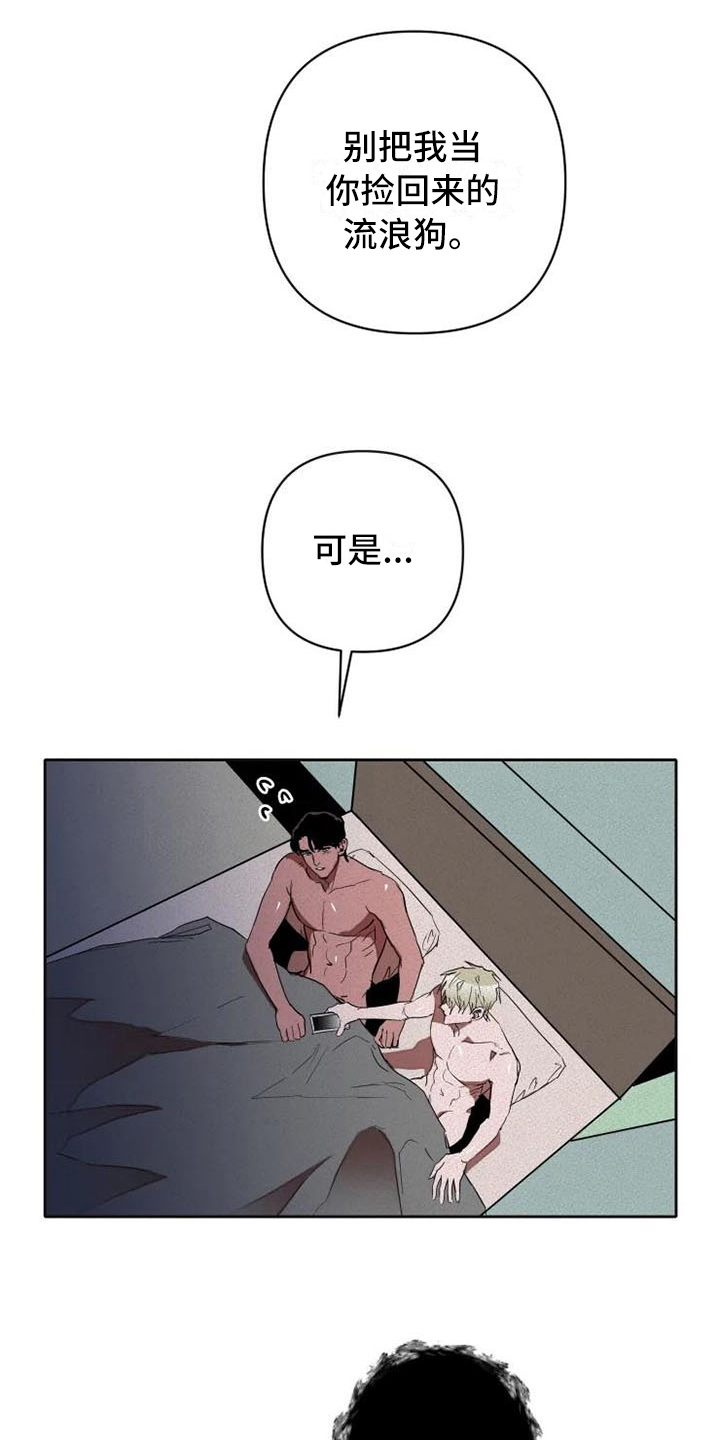 第17章：汇报6