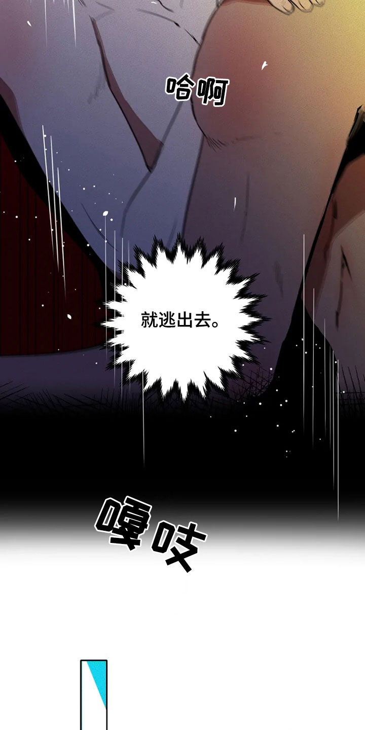 第26章：逃脱13