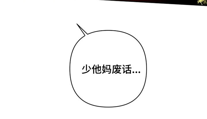 第25章：少废话28