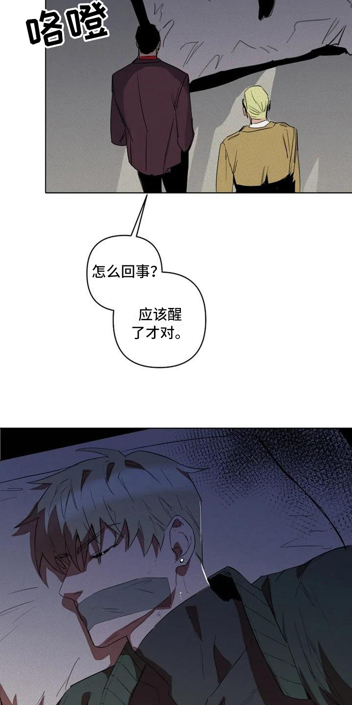 第1章：杀手13