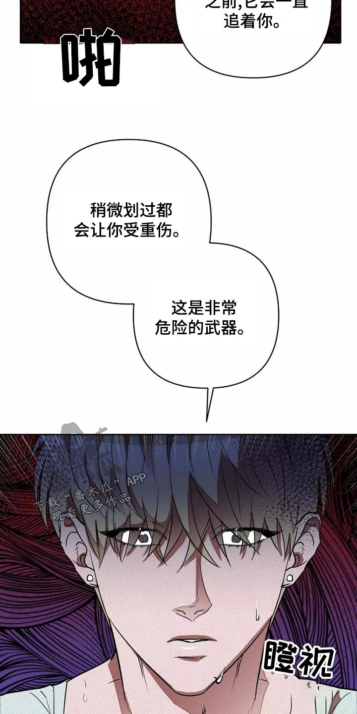第50章：全力23