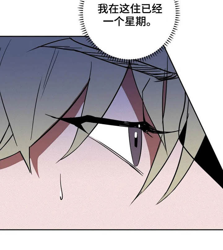 第19章：盯梢13