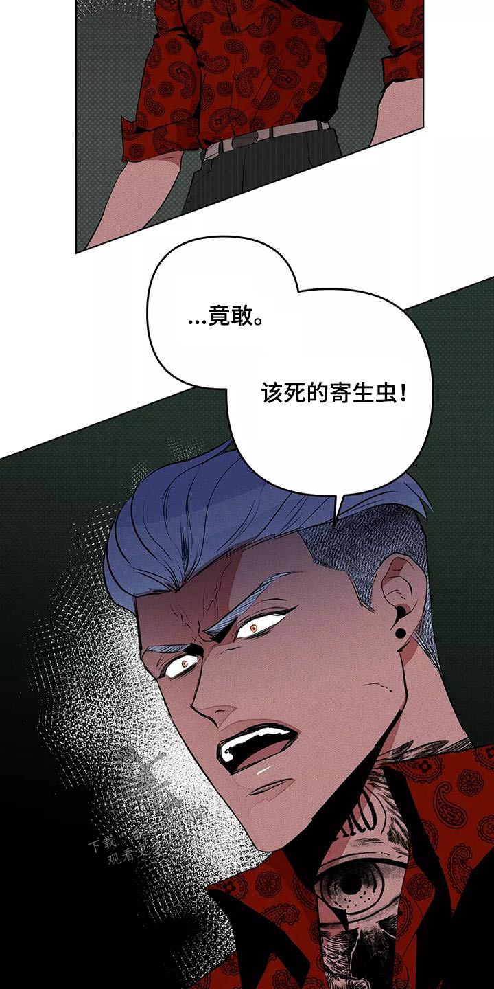 第57章：出手17