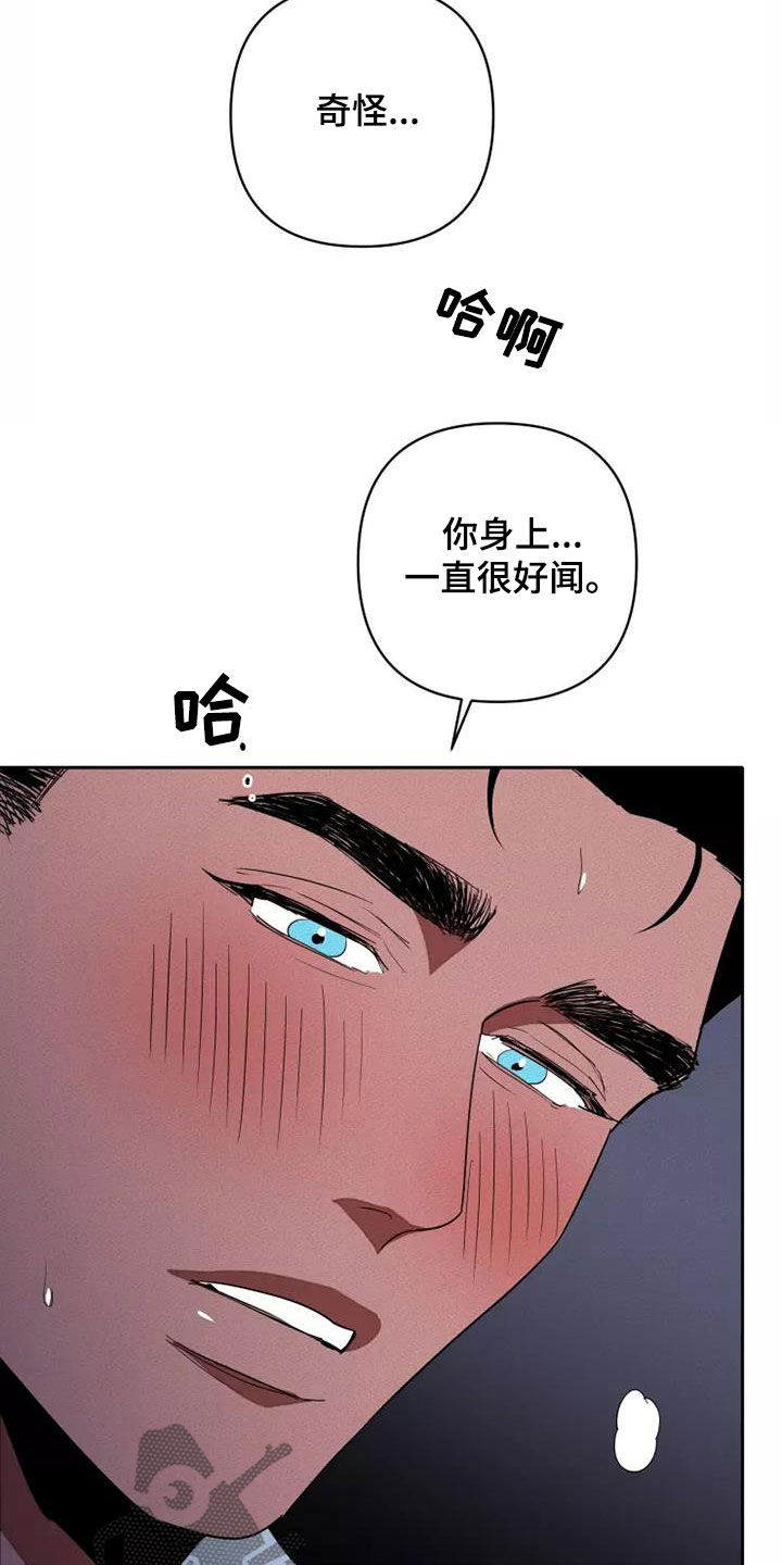第40章：为所欲为3
